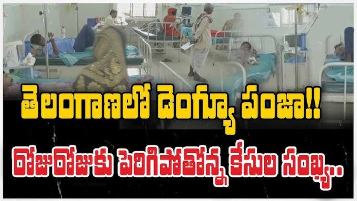 Danger bells for Dengue cases in telangana Danger bells for Dengue cases in telangana