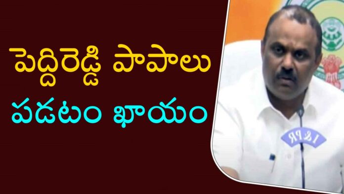 minister anagani satya prasad over peddireddy ramachandra reddy irregularities