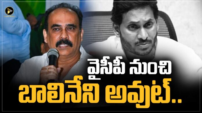 Balineni Srinivasa Reddy all set to come out from ysrcp party