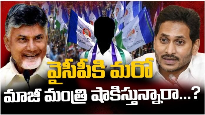 Avanthi srinivas ready to gave a shock to ysrcp