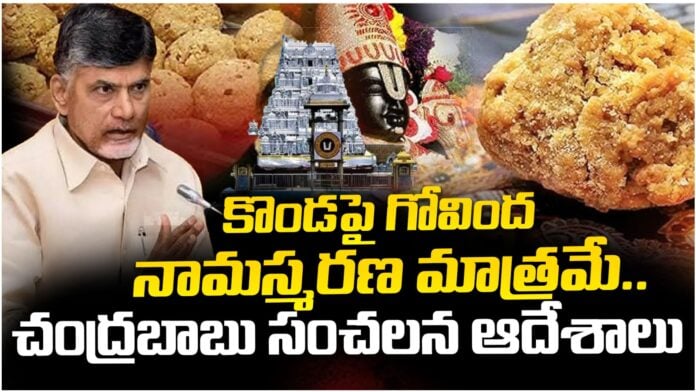 Chandrababu's key decissions over ttd vip dharshans