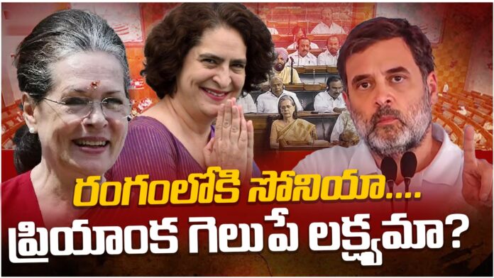 priyanka gandhi all set to contest from wayanad
