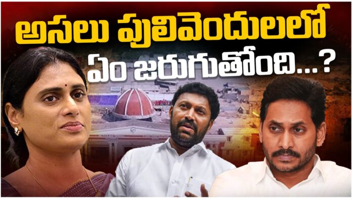 ys jagan vs ys avinash reddy at pilivendula ys jagan vs ys avinash reddy at pilivendula