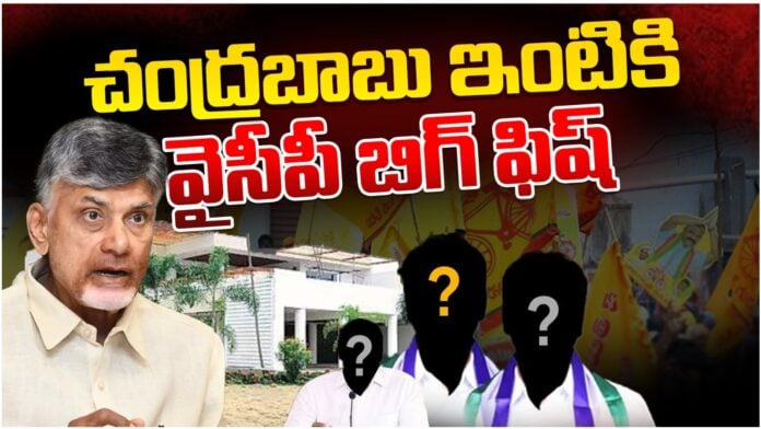 ysrcp key leader will meet chandrababu naidu soon