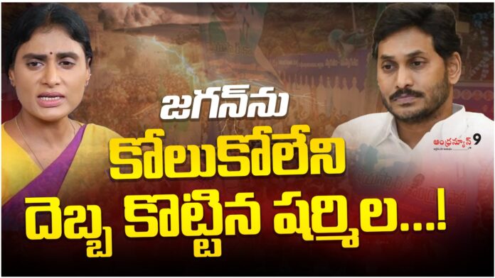 Sharmila gave an irreparable blow to Jagan