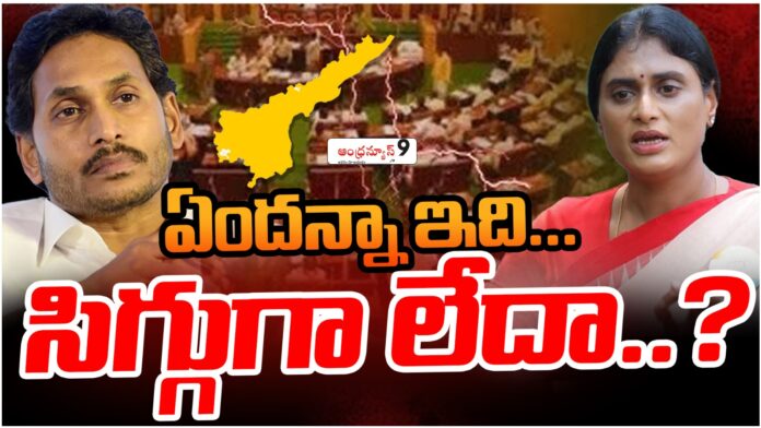 YS Sharmila's comments on YCP leaders not attending the assembly