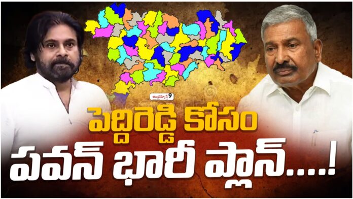 pawan kalyan targets peddireddy ramachandra reddy