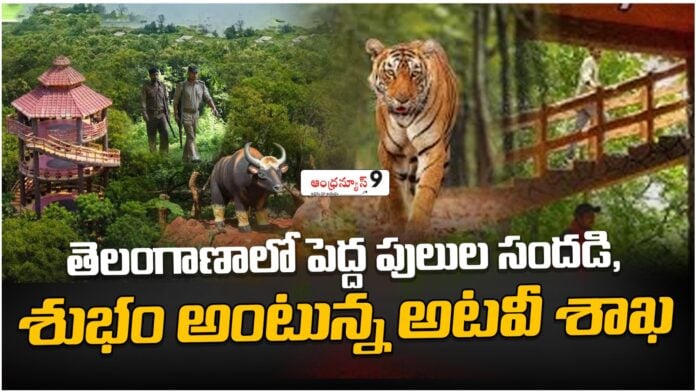 tiger search operation in telangana,