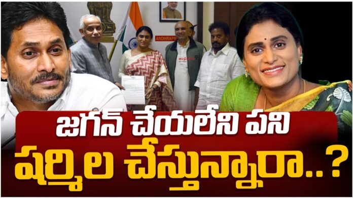ys sharmila fight with issues in ap