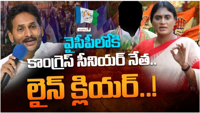 ap congress senior leaders will join in ycp soon