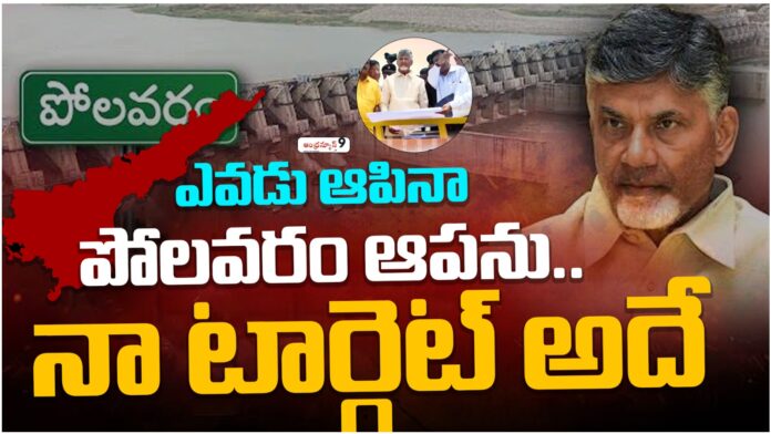 chandrababu naidu key comments on polavaram project