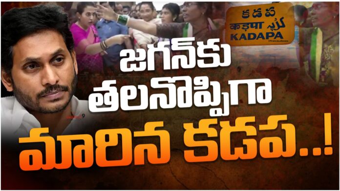 kadapa ycp became headache to ys jagan