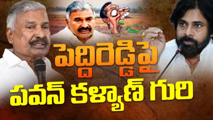 pawan-kalyan-target-peddireddy-andhranews9