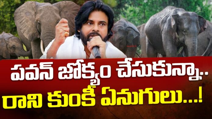 pawan-kumki-elephant-project-andhranews9