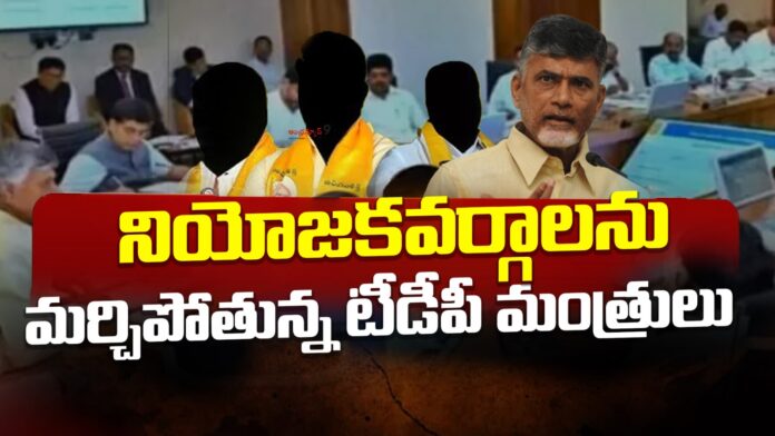 TDP Latest News