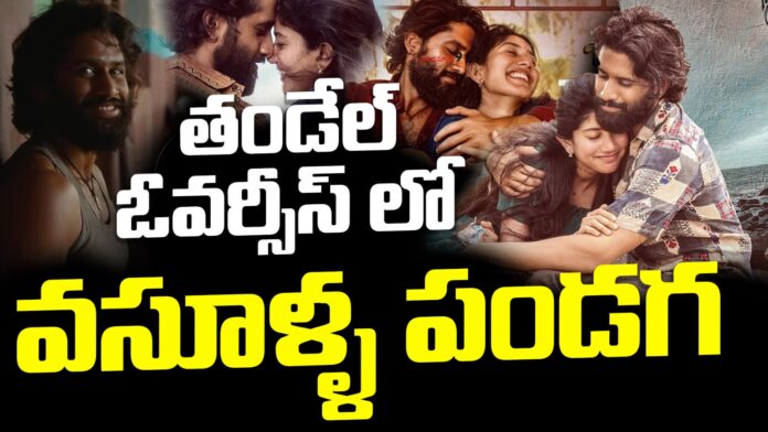 Akkineni Naga Chaitanya Thandel Success