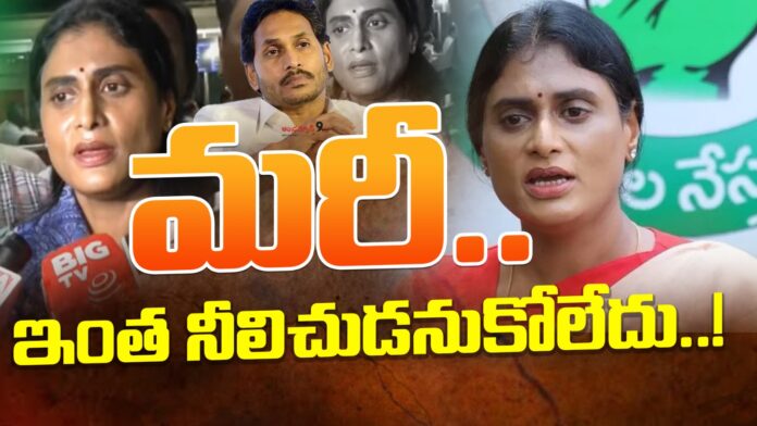 YSSharmila-Comments-YSJagan-andhranews9 YS Sharmila Fires On YS Jagan