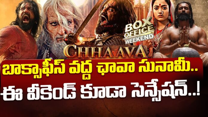 chhaava-boxoffice-collections-andhranews9 chhaava-boxoffice-collections-andhranews9