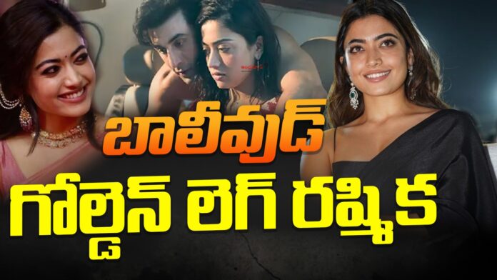 hat-trick-hit-or-rashmika-in-bollywood-andhranews9