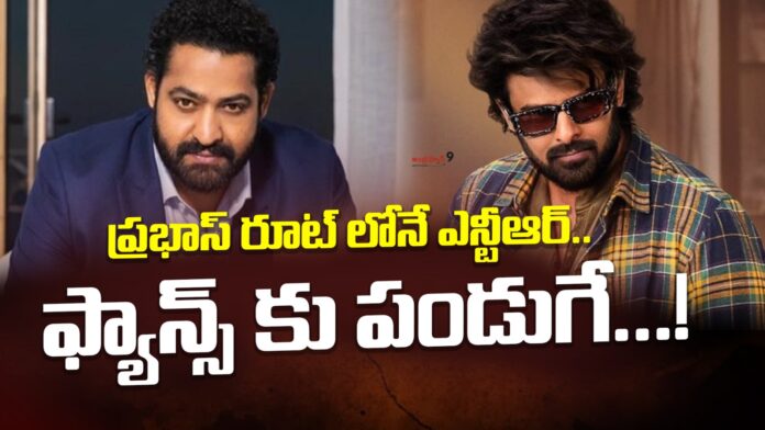 ntr-movies-lineup-andhranews9