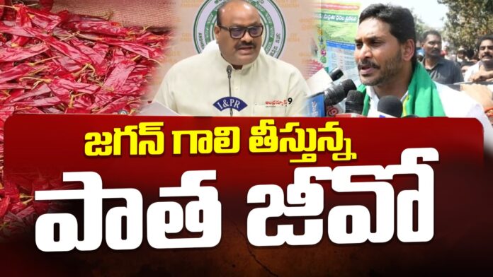 tdp-over-jagan-go-on-mirchi-prices-andhranews9