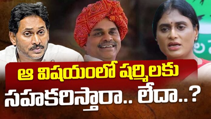 ys-sharmila-meets-vijayasaireddy-andhranews9