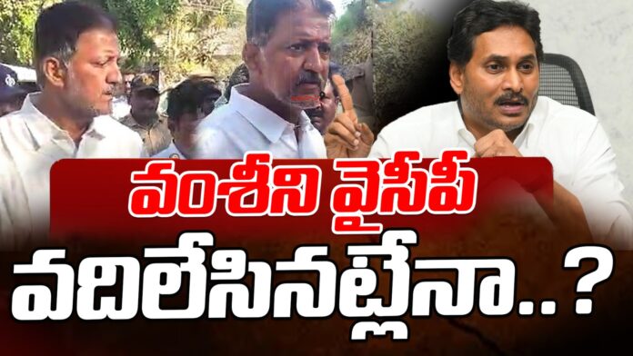 YCP Silent Over Vallabhaneni Vamsi Bail
