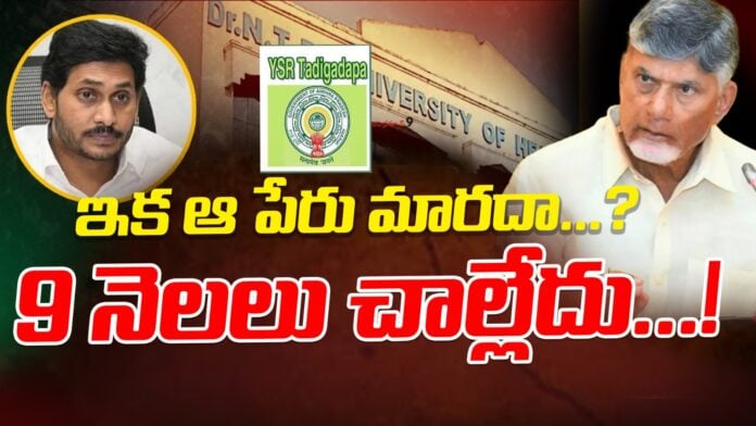 ysr-name-to-tadigadapa-municipality-andhranews9