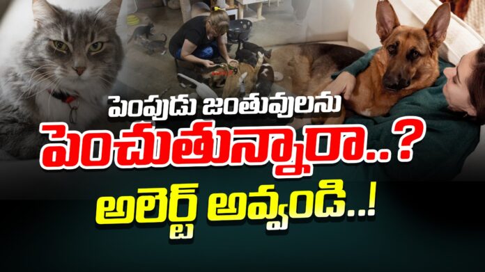 be-alert-while-raising-pets-andhranews9