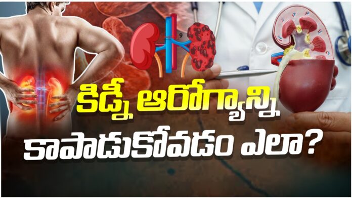 Tips To Improve Kidney Functioning
