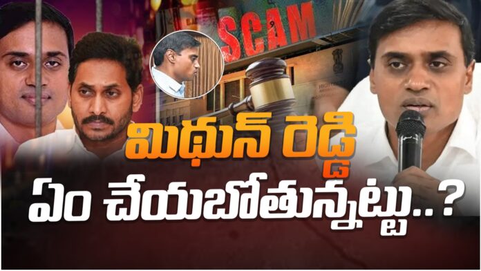 peddireddy-mithun-reddy-bail-andhranews9