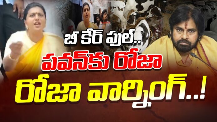 rk-roja-warning-to-pawan-kalyan-andhranews9