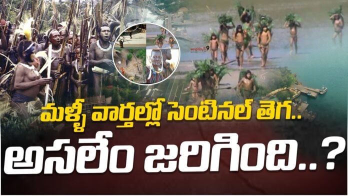 sentinal-tribe-in-andaman-nicobar-andhranews9