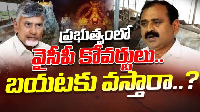 ycp-sensational-comments-over-ttd-goshala-andhranews9