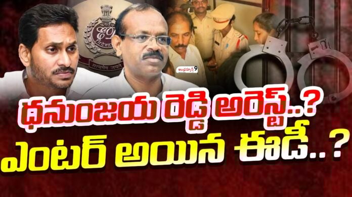 dhanunjaya-reddy-arrest-in-ap-liquor-scam-andhranews9