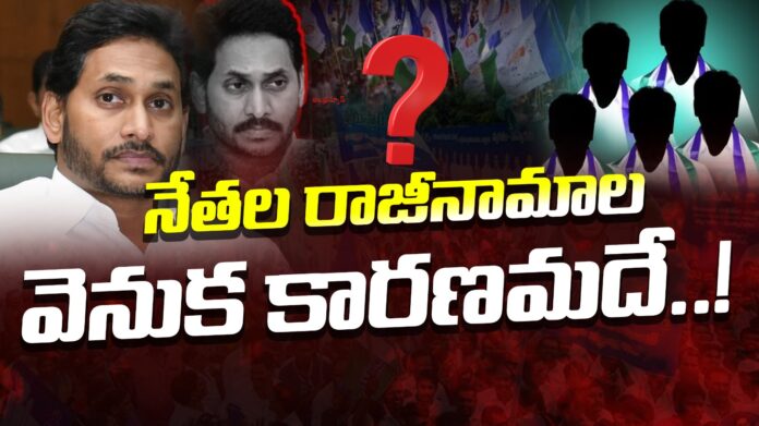 YSRCP Leaders Resignation