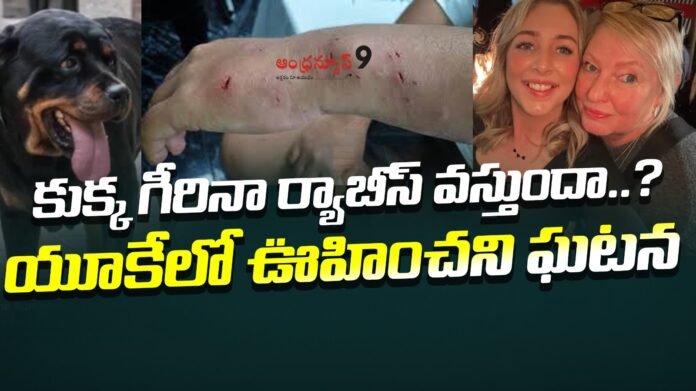 Woman infected with rabies after being scratched by a dog