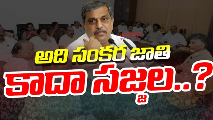 Sajjala Ramakrishna Reddy Comments On Amaravati Women