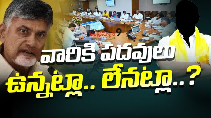 tdp senior leaders await nominated positions