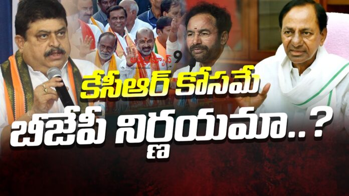 what is BJP's strategy in selecting Ramachandra Rao