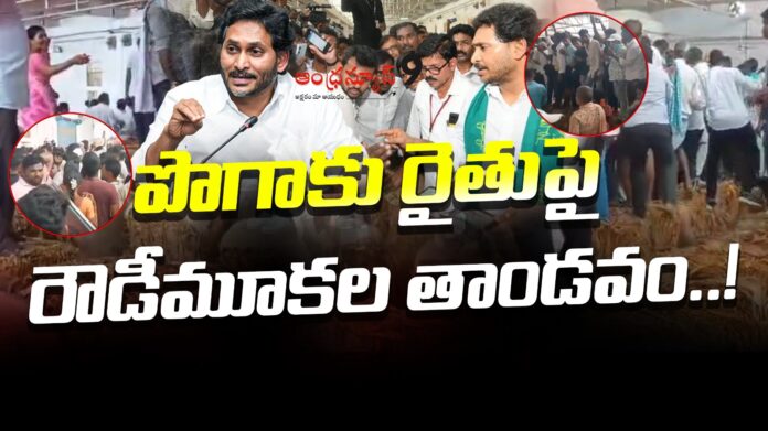 ysrcp-activists-destroy-podili-tobacco-center-andhranews9 ysrcp-activists-destroy-podili-tobacco-center-andhranews9
