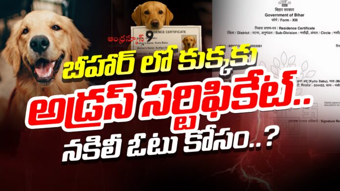 address-certificate-for-a-dog-in-bihar-anhdranews9