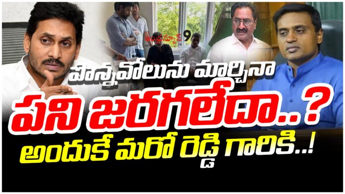 advocate-nagarjuna-reddy-for-mithunreddy-case-andhranews9
