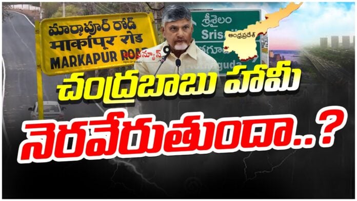 chandrababu-reorganization-of-districts-andhranews9
