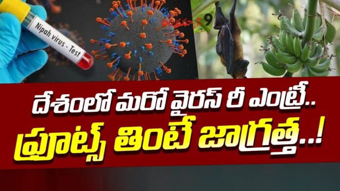 early-symptoms-of-nipah-virus-andhranews9