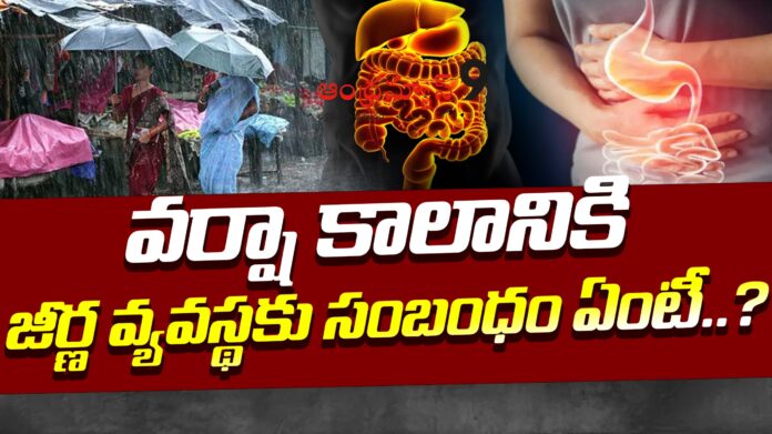 rainy season and the digestive system