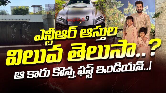 young-tiger-ntr-properties-andhranews9