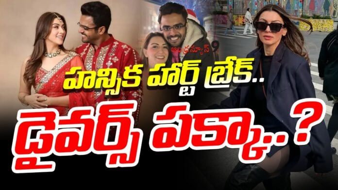 hansika-motwani-divorce-andhranews9
