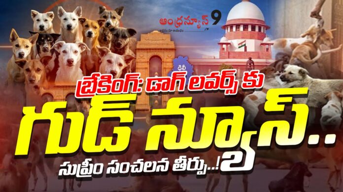 Supreme Court Judgement On Stray Dogs