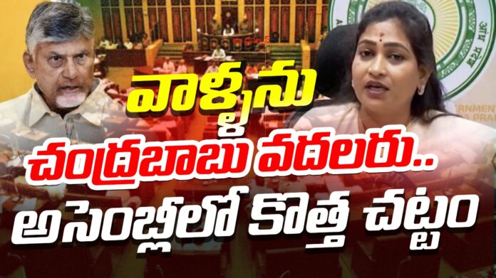 Vangalapudi Anitha Comments on Social media posts